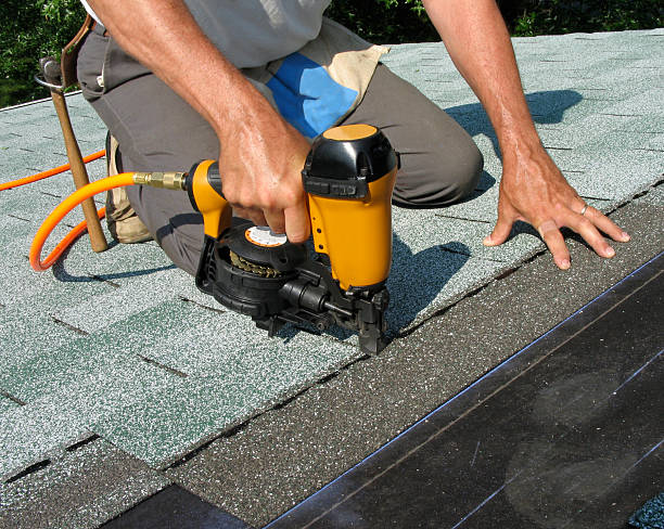 Best Roof Gutter Cleaning  in Hastings, MI